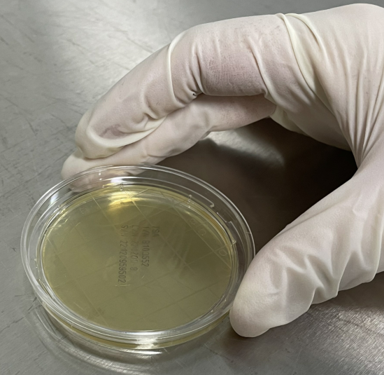 嬰配乳粉生產(chǎn)企業(yè)環(huán)境微生物監(jiān)測(cè)(一)——表面微生物采樣 嬰配乳粉生產(chǎn)企業(yè)環(huán)境微生物監(jiān)測(cè)(一)——表面微生物采樣