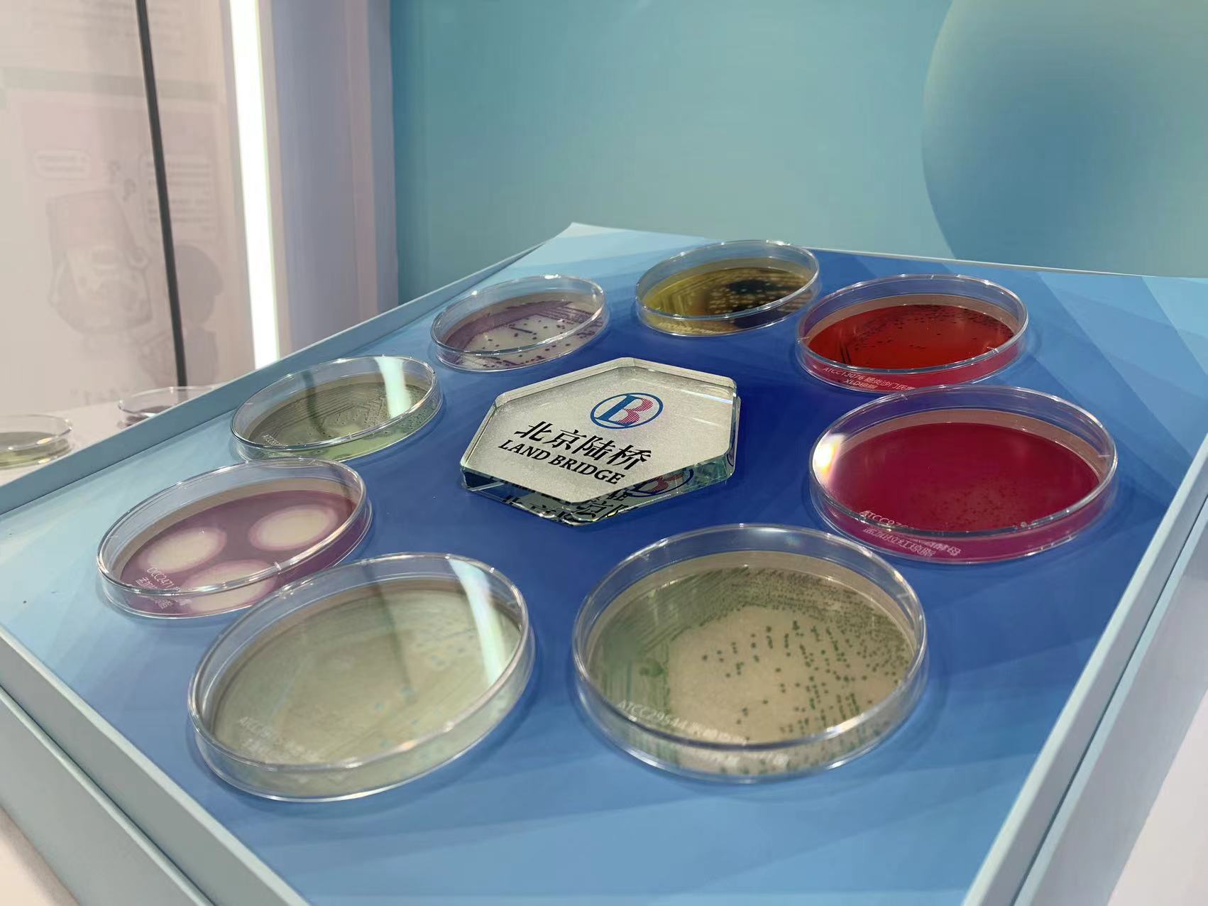 北京陸橋與您相約全國科普日 助力國家科技,守護“舌尖上的安全” 北京陸橋與您相約全國科普日 助力國家科技,守護“舌尖上的安全”