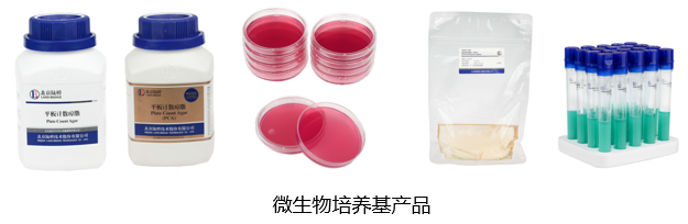 北京陸橋與您相約全國科普日 助力國家科技,守護“舌尖上的安全” 北京陸橋與您相約全國科普日 助力國家科技,守護“舌尖上的安全”