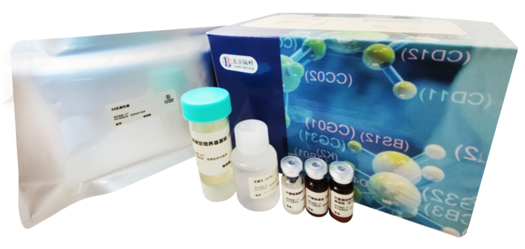 相約上海│北京陸橋邀您參加2024(第五屆)乳及乳制品檢測(cè)與控制技術(shù)交流會(huì)(5月8-11日) 相約上海│北京陸橋邀您參加2024(第五屆)乳及乳制品檢測(cè)與控制技術(shù)交流會(huì)(5月8-11日)