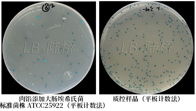 GB 4789.38-2025《食品安全國家標(biāo)準(zhǔn) 食品微生物學(xué)檢驗(yàn) 大腸埃希氏菌計(jì)數(shù)》解讀 GB 4789.38-2025《食品安全國家標(biāo)準(zhǔn) 食品微生物學(xué)檢驗(yàn) 大腸埃希氏菌計(jì)數(shù)》解讀