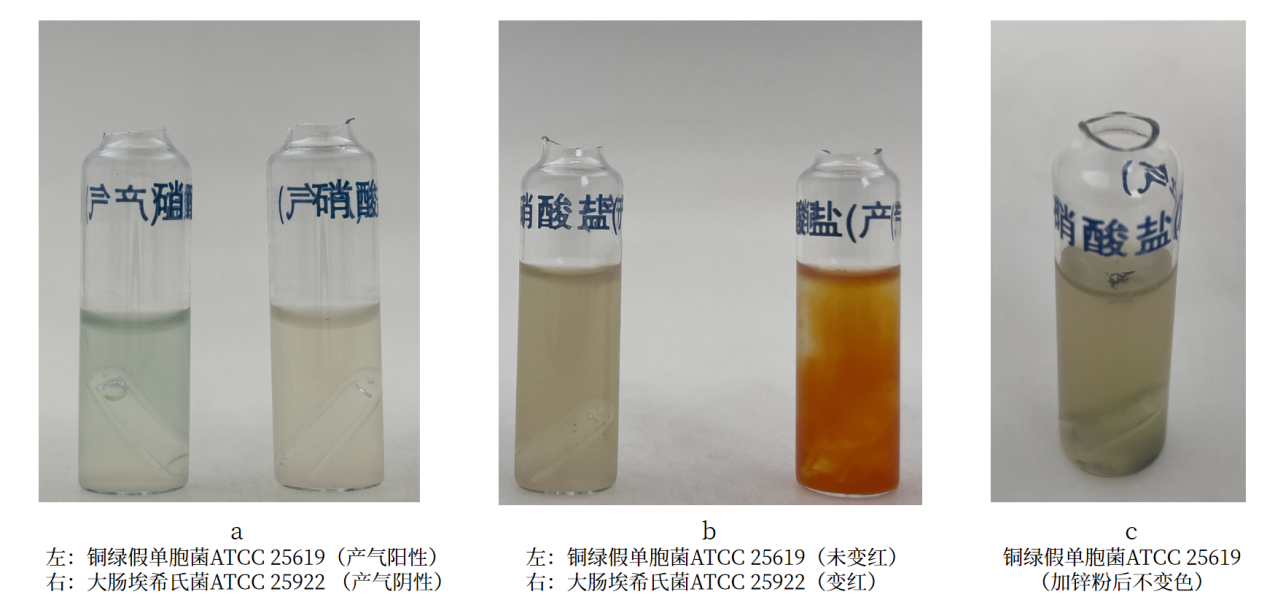細(xì)菌生化實驗之硝酸鹽還原實驗解析 細(xì)菌生化實驗之硝酸鹽還原實驗解析