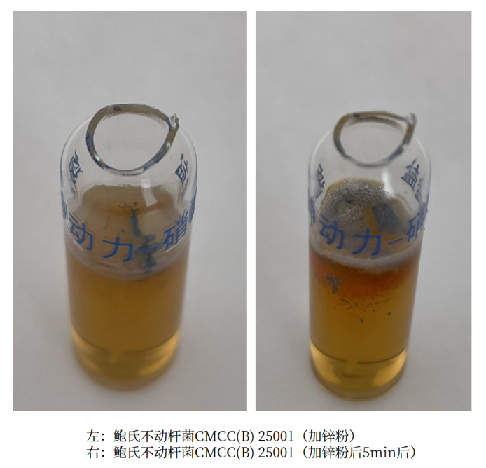細(xì)菌生化實驗之硝酸鹽還原實驗解析 細(xì)菌生化實驗之硝酸鹽還原實驗解析
