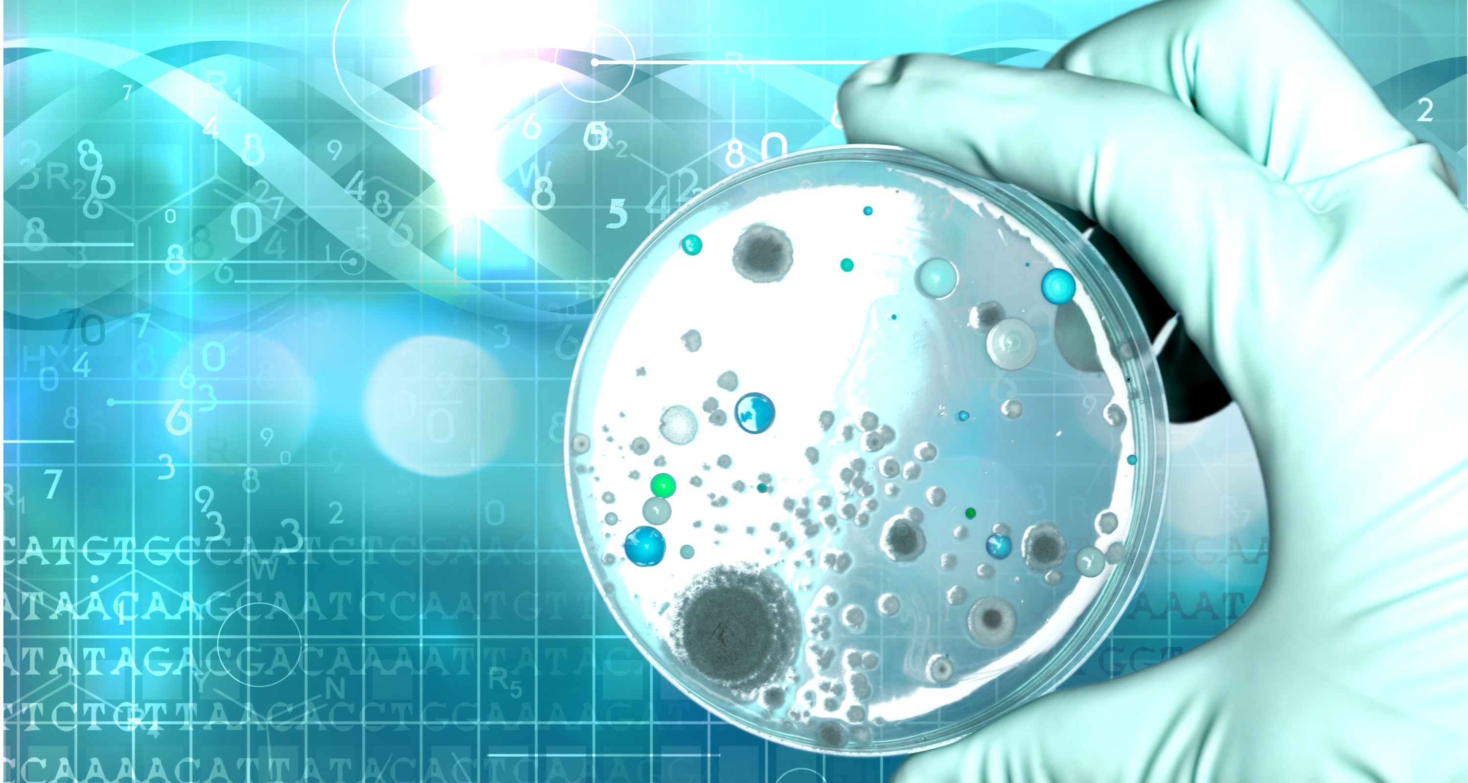 常見菌株保藏法的優(yōu)缺點(diǎn)對(duì)比