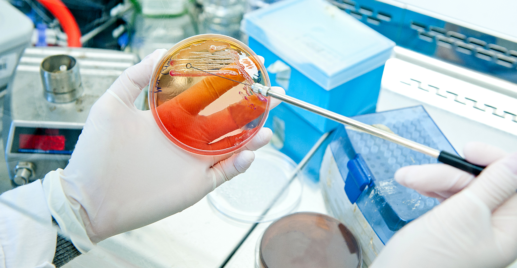 北京陸橋：GB 15979-2024 一次性衛(wèi)生用品檢測用產(chǎn)品列表