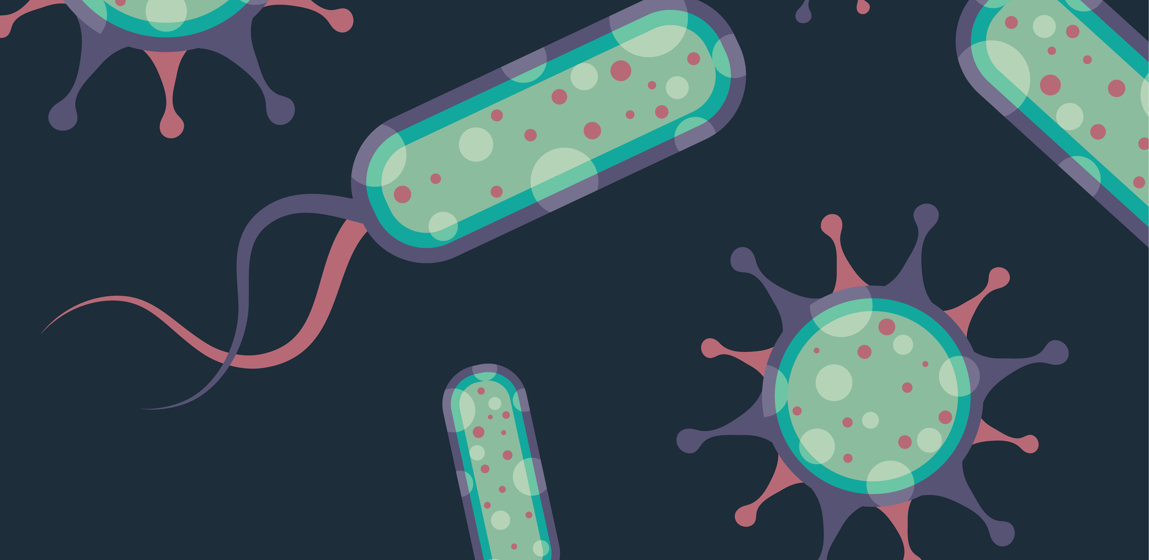 誰(shuí)是芽胞桿菌中的“運(yùn)動(dòng)健將”？